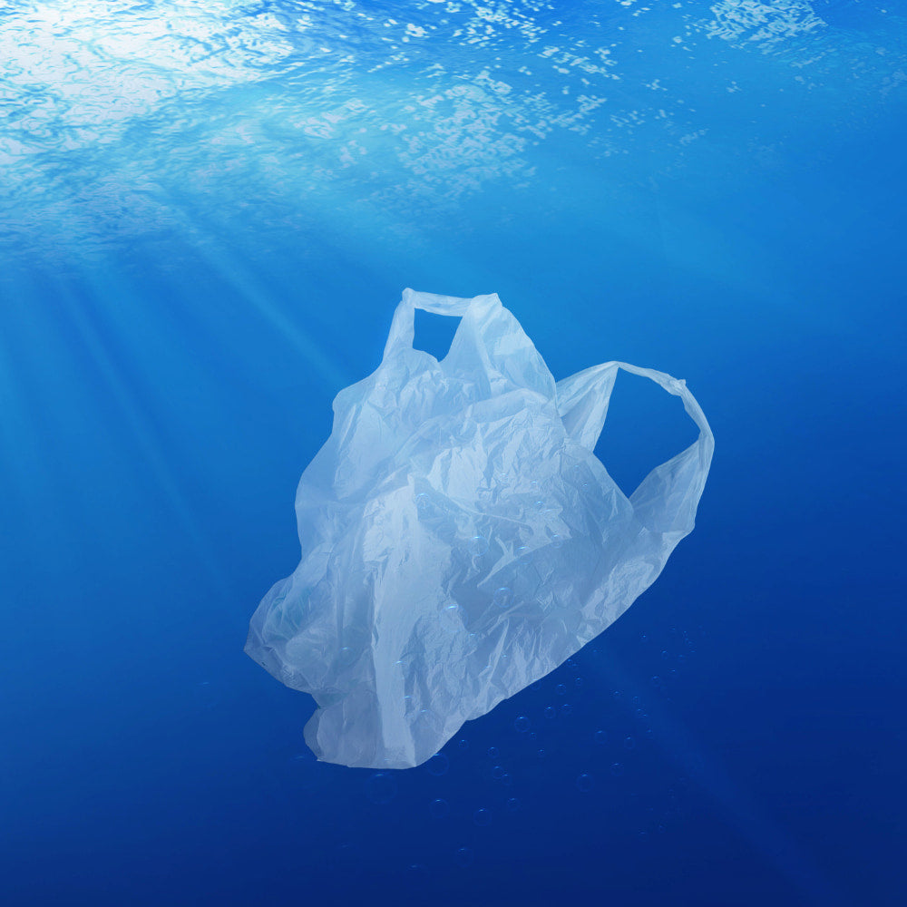 Célébrez la journée mondiale sans sac plastique avec bubble b 